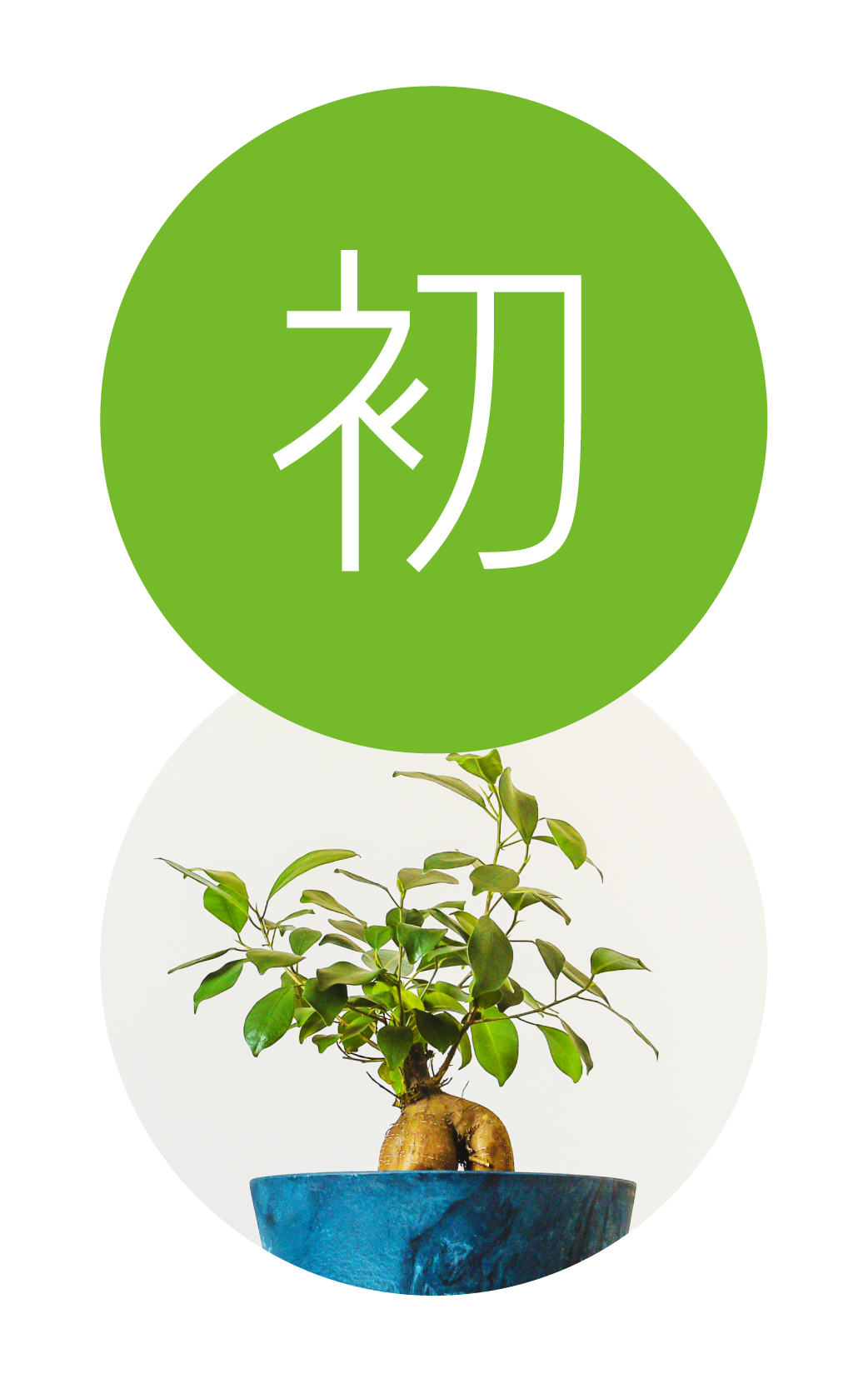 初心者向けのアイキャッチ