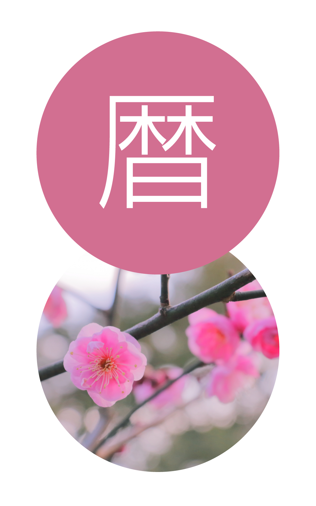 年間カレンダー（暦）のアイキャッチ