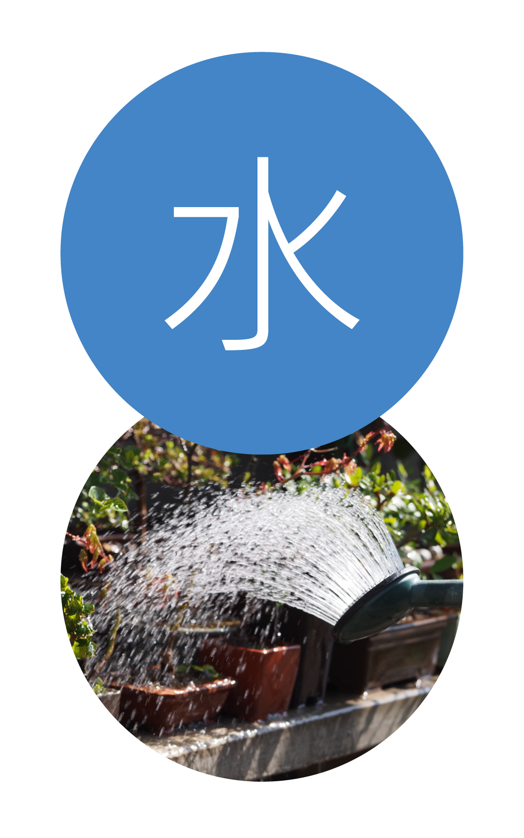水やりのアイキャッチ