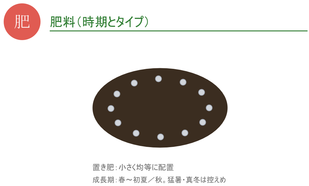 固形有機肥料（置き肥）の配置イメージ