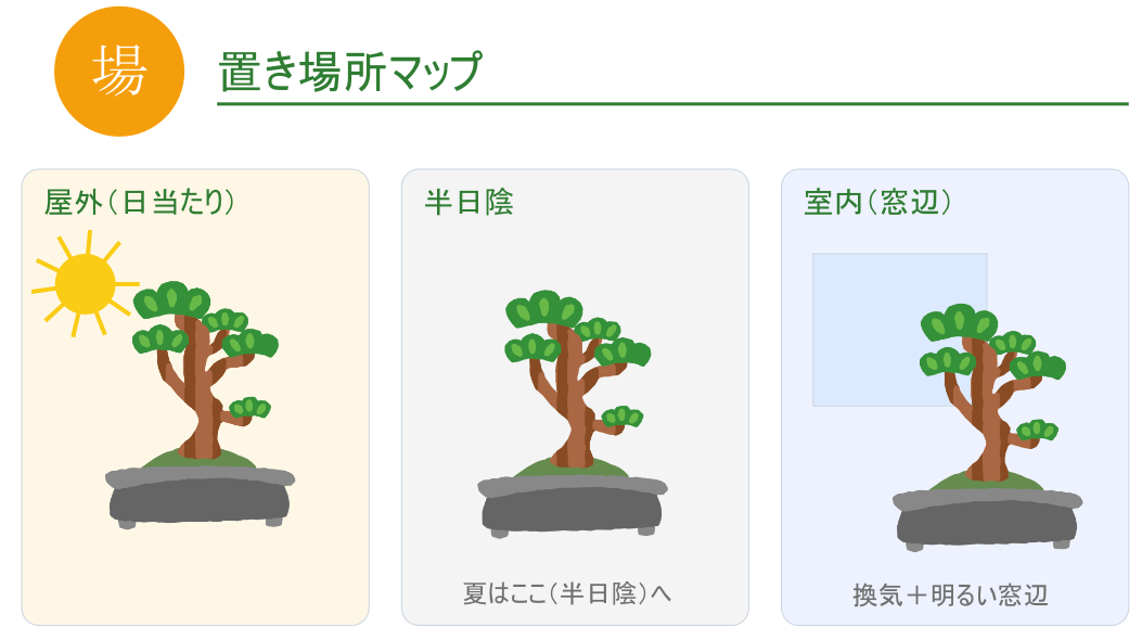 置き場所の考え方（屋外・半日陰・室内窓辺のマップ）