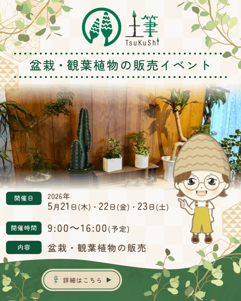 観葉植物と盆栽の販売イベント